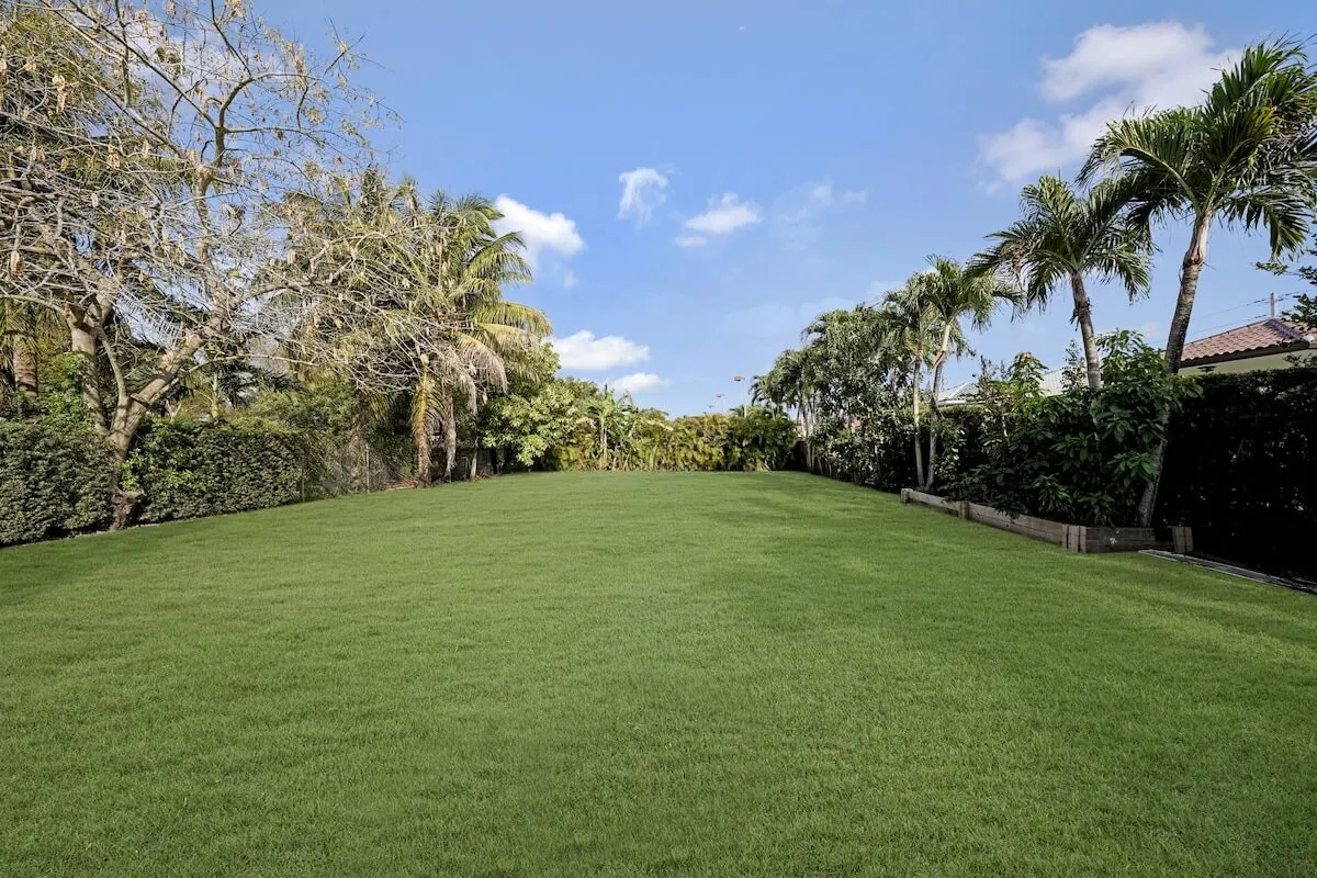 An open, expansive grassy lawn bordered by tall palm trees and natural hedges, under a clear blue sky. The space is ideal for group activities like picnics, casual games, and relaxed outdoor socializing, evoking the spirit of nearby parks and social attractions.